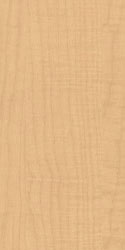Maple Maple