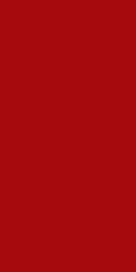 Primary-Red Primary Red